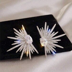 Luxury And Elegant Shiny Silver Earrings For Women